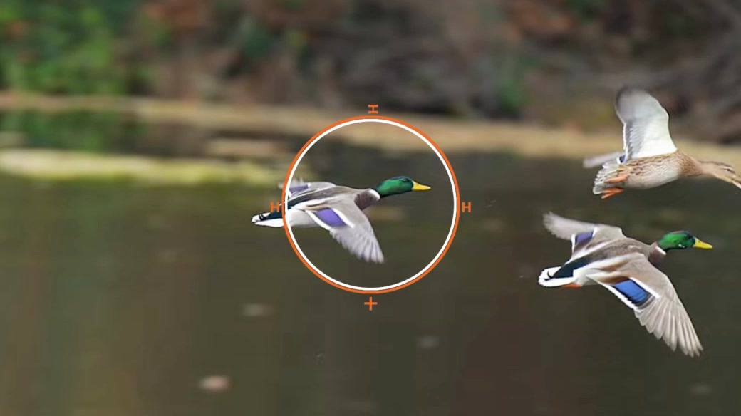 Barrel camera view with the shot reticle on a drake mallard in flight